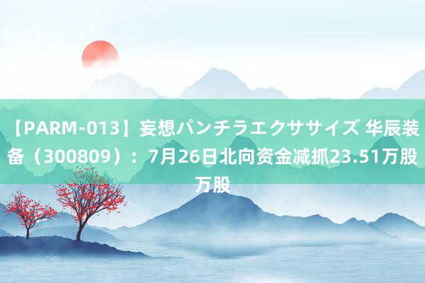 【PARM-013】妄想パンチラエクササイズ 华辰装备(300809):7月26日北向资金减抓23.51万股