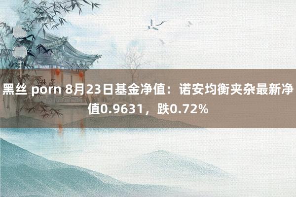 黑丝 porn 8月23日基金净值:诺安均衡夹杂最新净值0.9631,跌0.72%