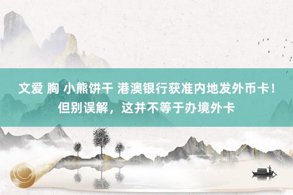 文爱 胸 小熊饼干 港澳银行获准内地发外币卡!但别误解,这并不等于办境外卡