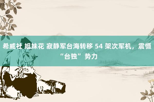 希威社 姐妹花 寂静军台海转移 54 架次军机,震慑 “台独” 势力
