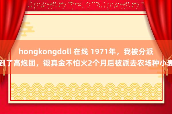 hongkongdoll 在线 1971年,我被分派到了高炮团,锻真金不怕火2个月后被派去农场种小麦