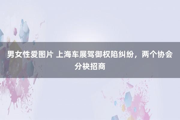 男女性爱图片 上海车展驾御权陷纠纷，两个协会分袂招商