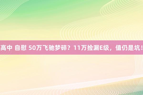 高中 自慰 50万飞驰梦碎？11万捡漏E级，值仍是坑！