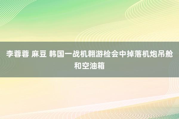 李蓉蓉 麻豆 韩国一战机翱游检会中掉落机炮吊舱和空油箱