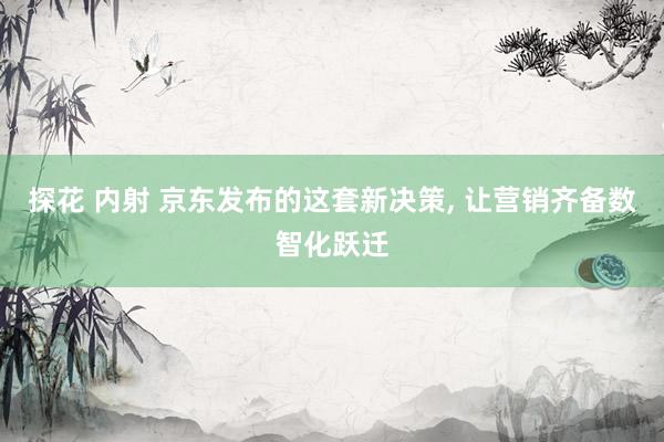 探花 内射 京东发布的这套新决策， 让营销齐备数智化跃迁