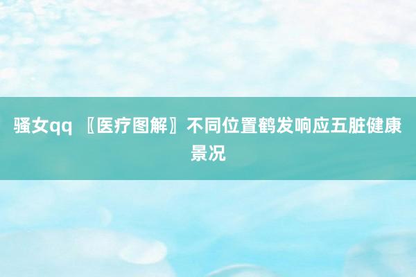 骚女qq 〖医疗图解〗不同位置鹤发响应五脏健康景况