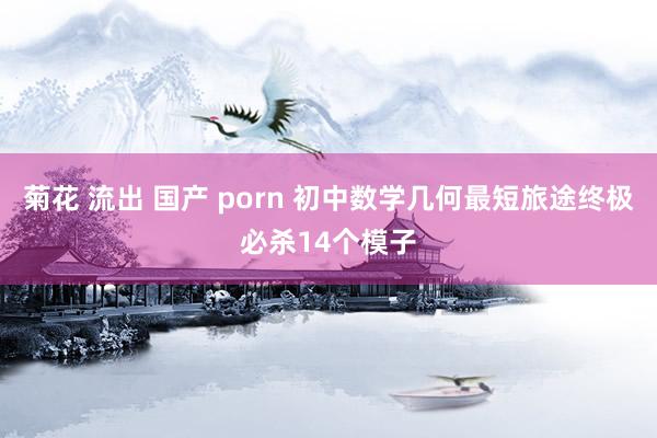 菊花 流出 国产 porn 初中数学几何最短旅途终极必杀14个模子